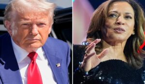 Donald trump and kamala harris 