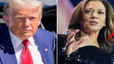 Donald trump and kamala harris 