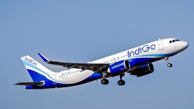 Indigo flight