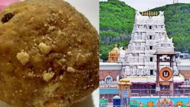 Tirupati laddu controversy news