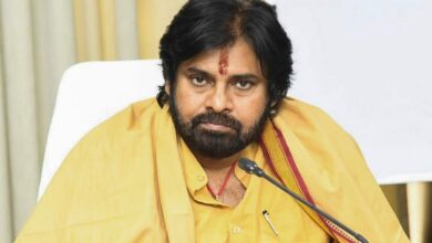 Andhra pradesh deputy cm pawan kalyan