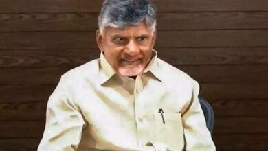 Cm chandrababu naidu