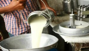 Gujarat dairy industry