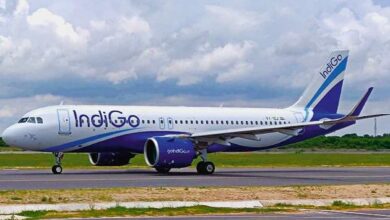 Indigo