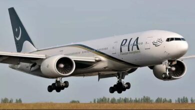 Pia