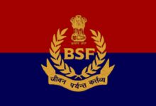 Bsf