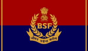 Bsf