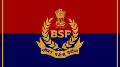 Bsf