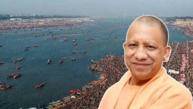 Cm yogi