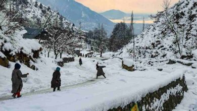 Cold wave grips srinagar