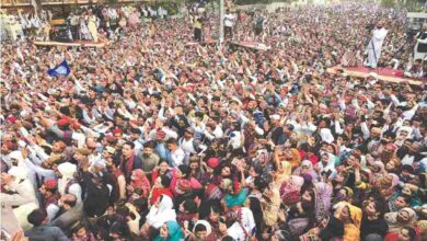 Sindhi cultural day