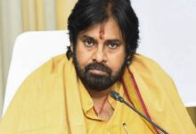 Andhra pradesh deputy cm pawan kalyan