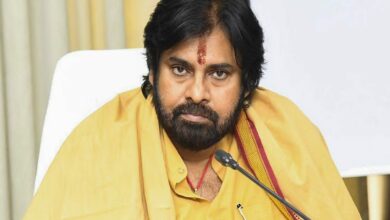 Andhra pradesh deputy cm pawan kalyan