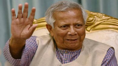 Chief advisor muhammad yunus