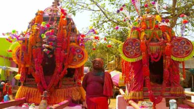 Panchu dola festival